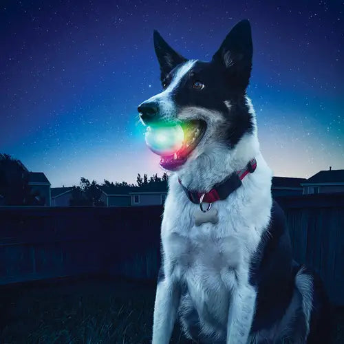 Glowstreak Dog Ball