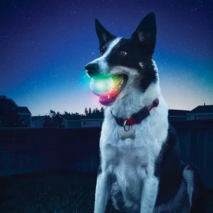 Glowstreak Dog Ball