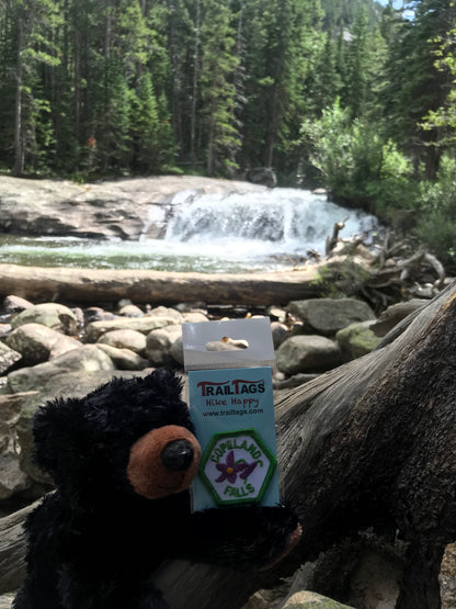 Copeland Falls