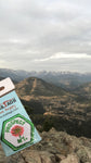 Prospect Mt.