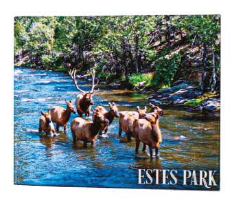 Magnet - Estes Park Elk in Stream