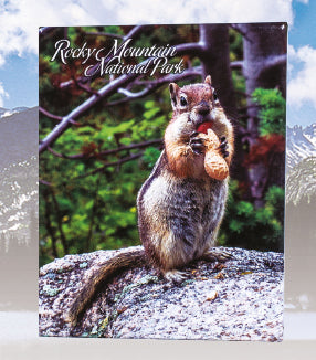 Magnet - Golden Mantled Ground Squirrel