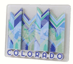 Magnet - Colorado Chevron